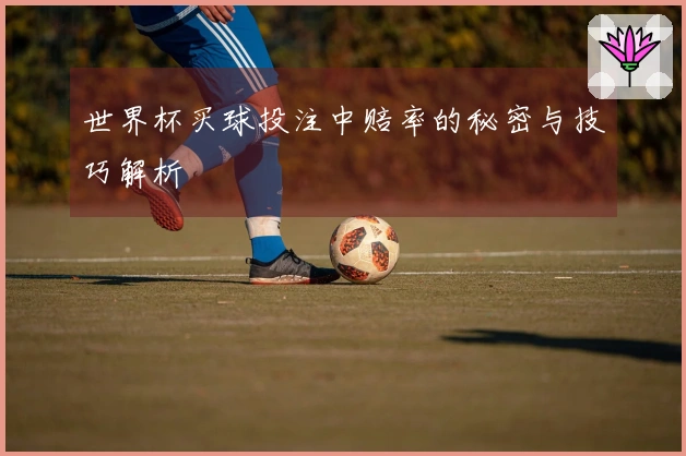 世界杯买球投注中赔率的秘密与技巧解析