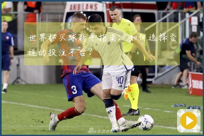 世界杯买球新手指南：如何选择合适的投注平台？