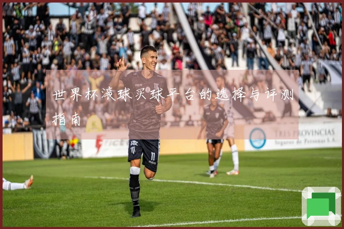 世界杯滚球买球平台的选择与评测指南