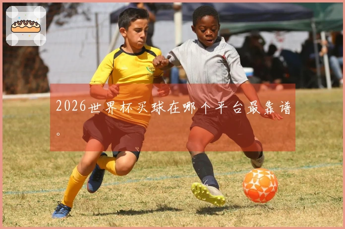2026世界杯买球在哪个平台最靠谱。