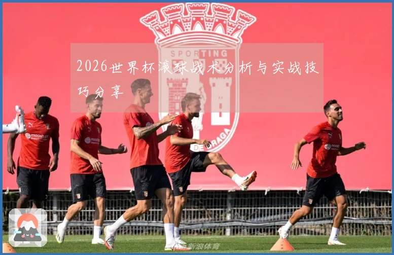 2026世界杯滚球战术分析与实战技巧分享