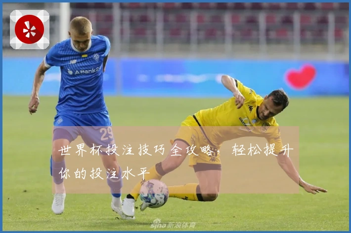 世界杯投注技巧全攻略，轻松提升你的投注水平