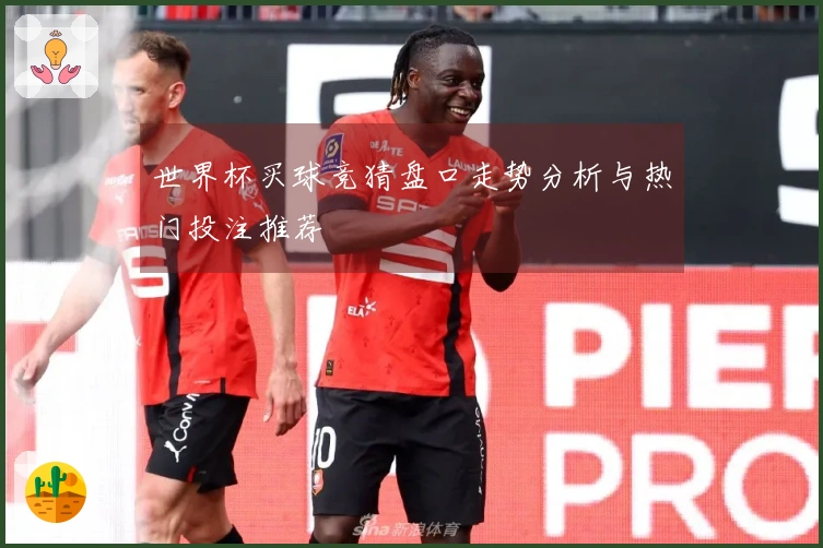 世界杯买球竞猜盘口走势分析与热门投注推荐