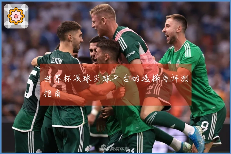 世界杯滚球买球平台的选择与评测指南