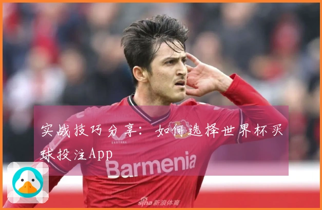 实战技巧分享：如何选择世界杯买球投注App